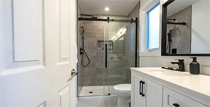 Repairs and Remodels